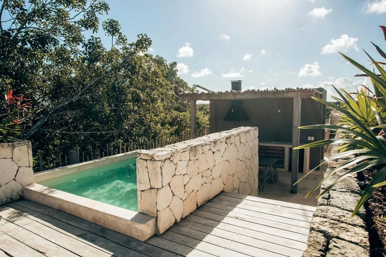 Apartment Vida Jungle Apart 7 With Special Fee To Access Hotel Bardo Tulum