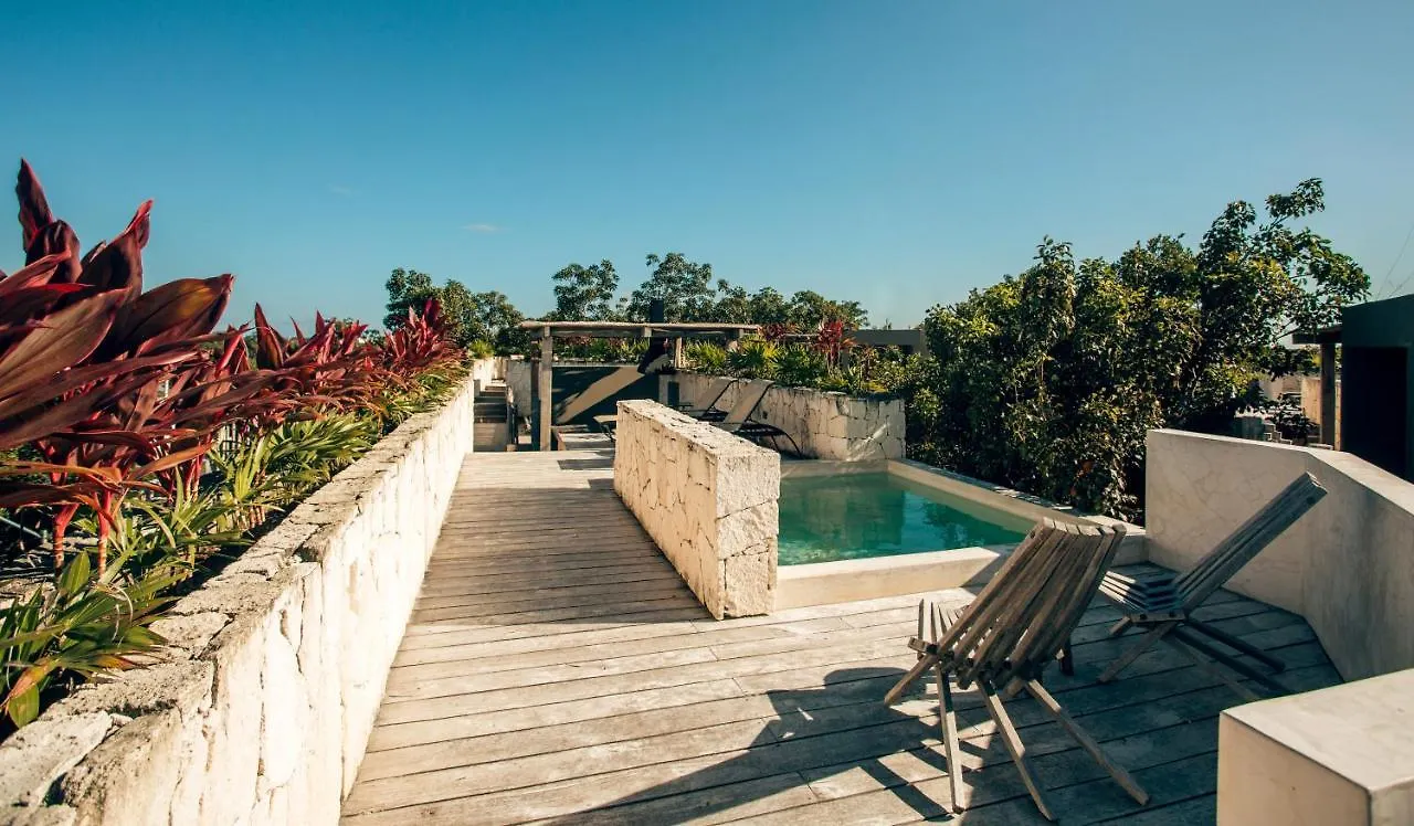 Apartment Vida Jungle Apart 7 With Special Fee To Access Hotel Bardo Tulum