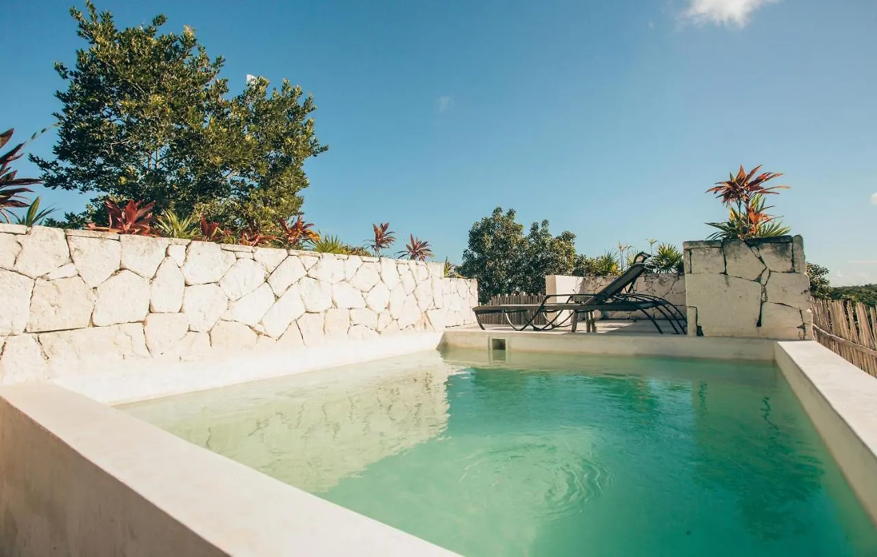 Vida Jungle Apart 7 With Special Fee To Access Hotel Bardo Tulum Apartment