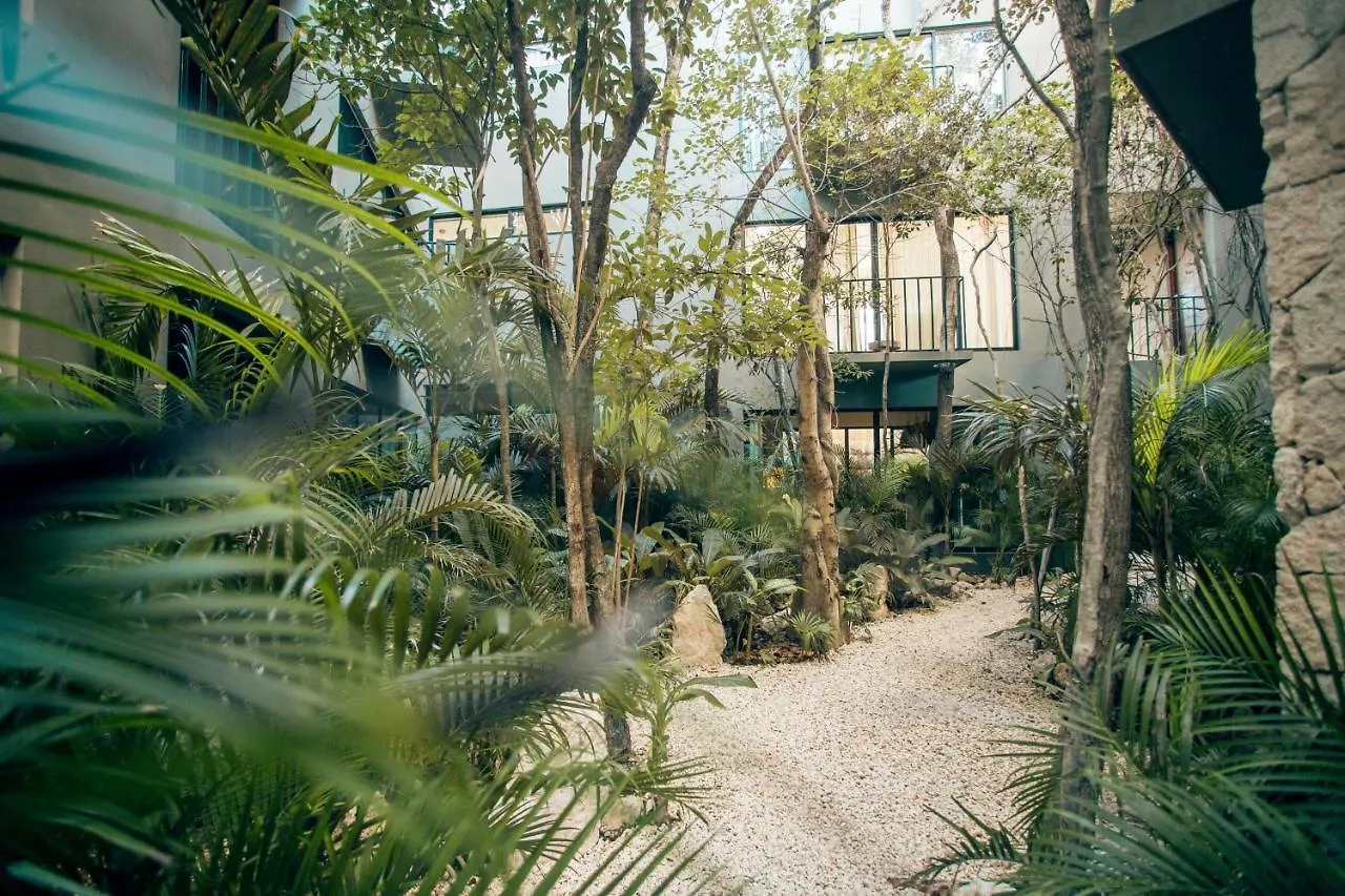 Vida Jungle Apart 7 With Special Fee To Access Hotel Bardo Tulum Apartment