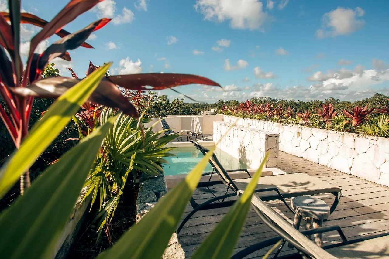 Vida Jungle Apart 7 With Special Fee To Access Hotel Bardo Tulum