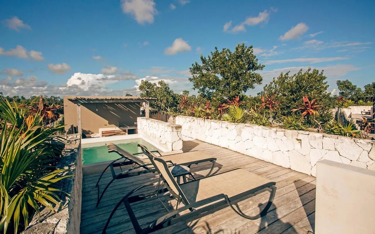 Apartment Vida Jungle Apart 7 With Special Fee To Access Hotel Bardo Tulum Mexico